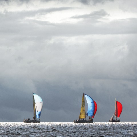 Photo Lumière sur les régates du Spi Ouest-France par Philip Plisson