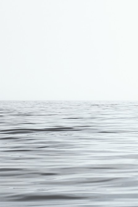 Photo Retour de pêche par Philip Plisson