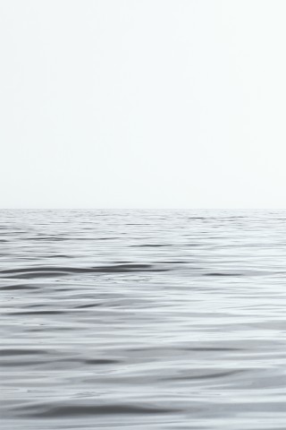 Photo Retour de pêche par Philip Plisson