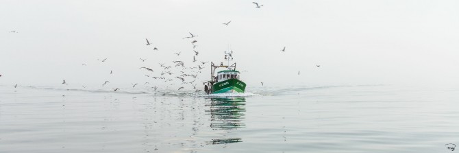 Petite pêche en baie de Quiberon Photo Petite pêche en baie de Quiberon par Philip Plisson