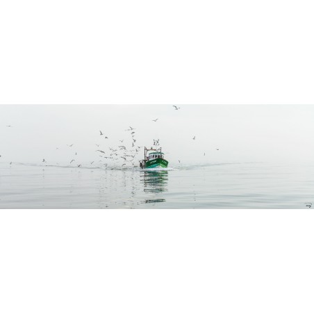 Small fishery in Quiberon Bay