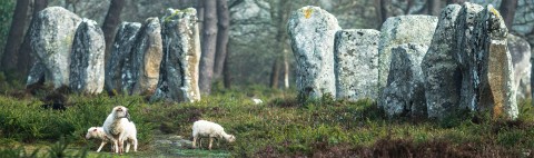 Photo The Carnac standing stones  Morbihan - Brittany par Philip Plisson