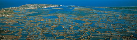 Photo Les marais salants de Guérande, Loire Atlantique par Philip Plisson