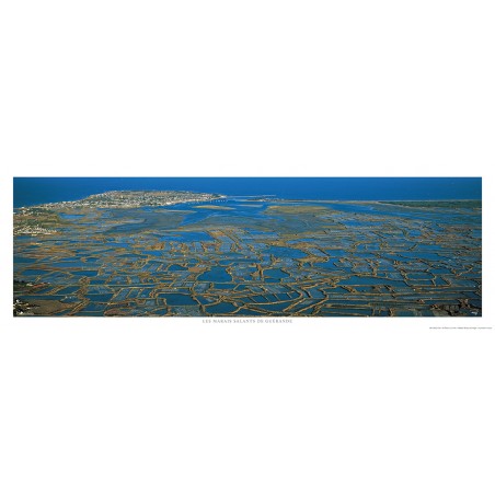 The salt marshes of Guérande, Loire Atlantique