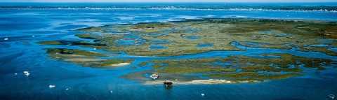 Photo Birds Island, Arcachon Bay  Gironde par Philip Plisson