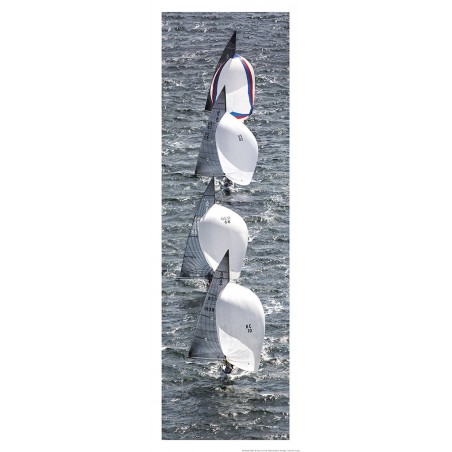 Sailboats under spinnaker in regatta