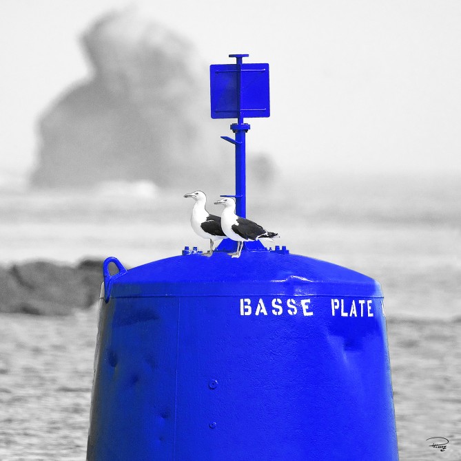 Photo Bleu indigo, Bretagne par Philip Plisson