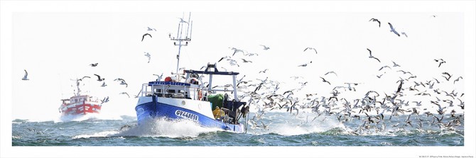 Retour de pêche au Guilvinec, Finistère Photo Retour de pêche au Guilvinec, Finistère par Philip Plisson