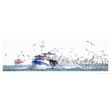 Retour de pêche au Guilvinec, Finistère