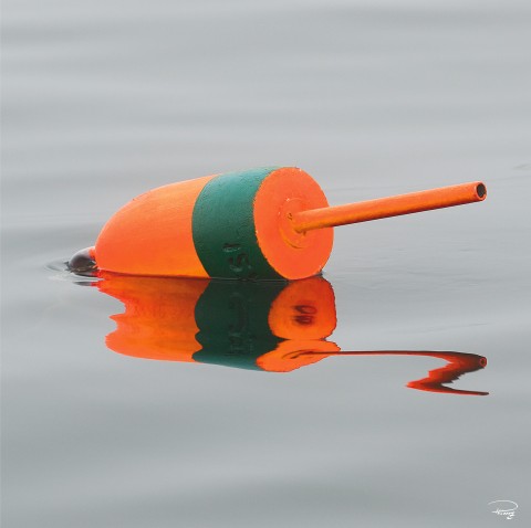 Photo Bouées de casiers à homards, Maine par Philip Plisson
