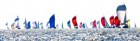 Photo Voiliers sous spi en régate par Philip Plisson