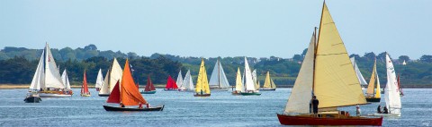 Photo Voiliers de tradition dans le Golfe du Morbihan par Philip Plisson