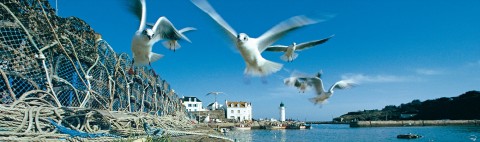 Photo Stopover in Brittany, Sauzon at Belle-Ile-en-Mer, Morbihan par Philip Plisson