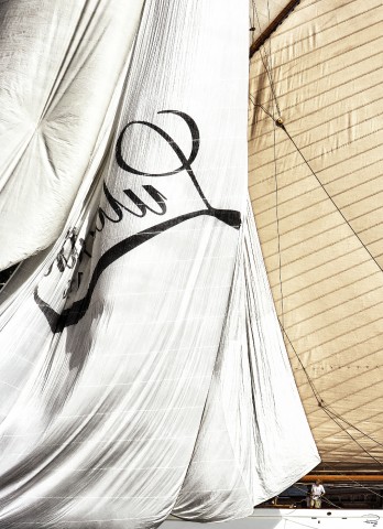 Photo Lulworth aux Voiles de Saint-Tropez par Philip Plisson