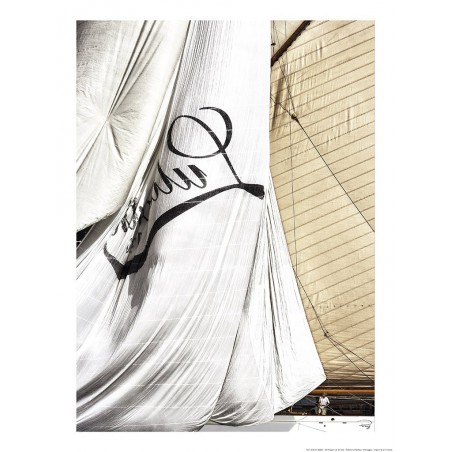 Lulworth aux Voiles de Saint-Tropez
