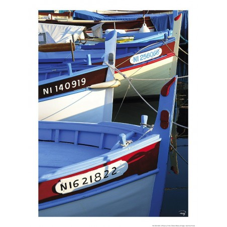 Pointus dans le port de Nice, Côte d'Azur, France