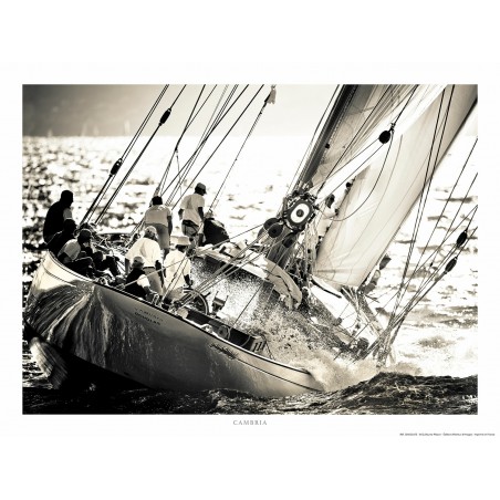 Cambria, plan William Fife III