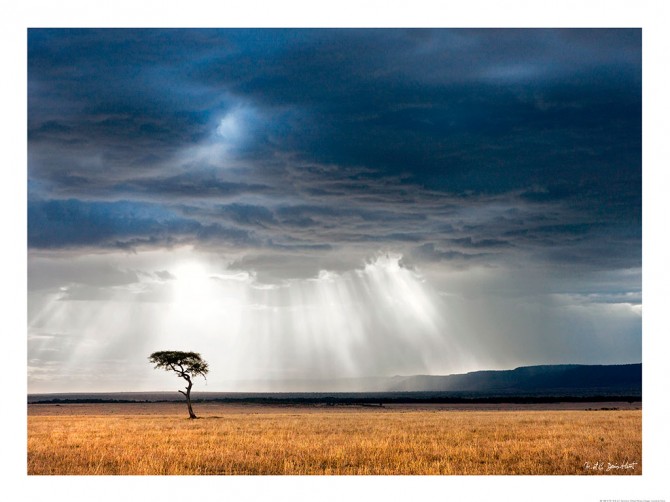 Savane africaine Photo Savane africaine par Michel & Christine Denis-Huot