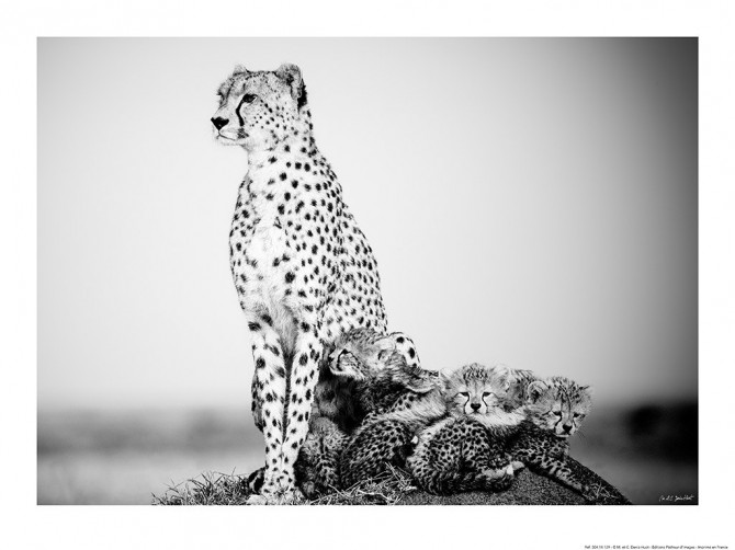 Photo par Michel & Christine Denis-Huot