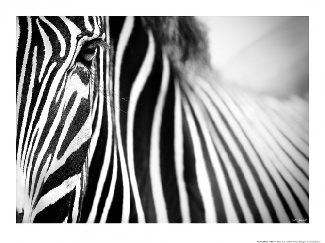 Photo par Michel & Christine Denis-Huot
