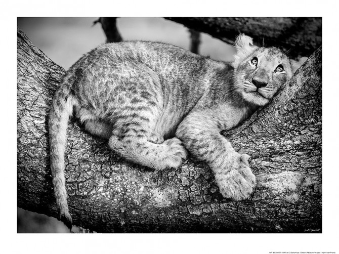 Photo par Michel & Christine Denis-Huot