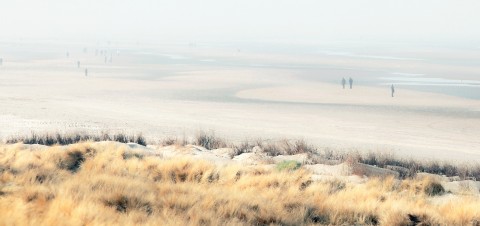 Photo Promenade sur la plage par Philip Plisson