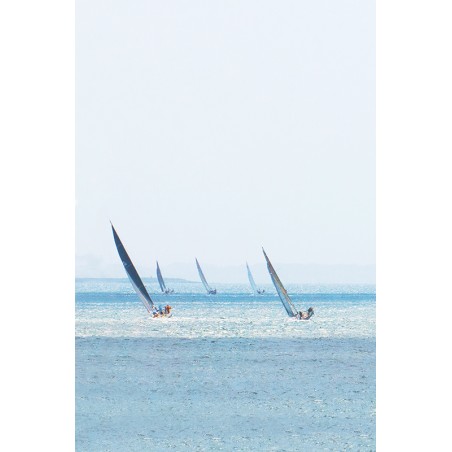 Régate en Baie de Quiberon