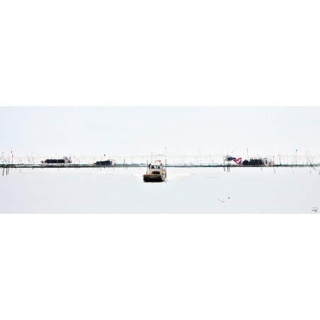 Ostéiculture en Bretagne