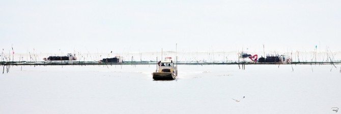 Photo Ostéiculture en Bretagne par Philip Plisson