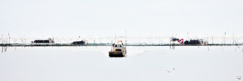 Photo Ostéiculture en Bretagne par Philip Plisson