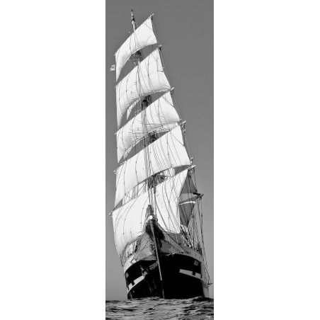 Le Belem trois-mâts barque, toutes voiles dehors