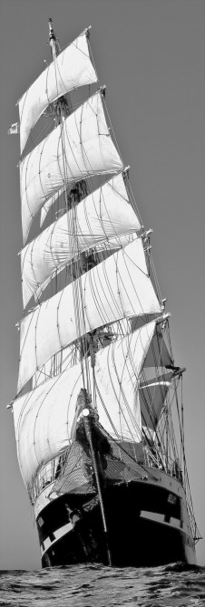 Photo Le Belem trois-mâts barque, toutes voiles dehors par Philip Plisson