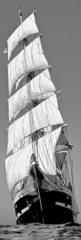 Photo Le Belem trois-mâts barque, toutes voiles dehors par Philip Plisson
