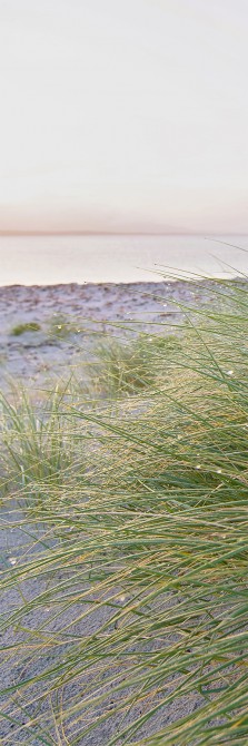 Photo Sur la Dune par Philip Plisson