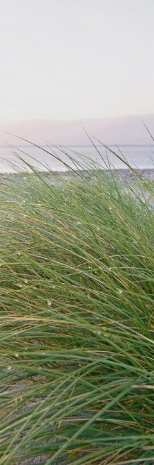 Photo Sur la Dune par Philip Plisson