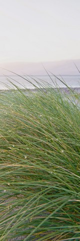 Photo Sur la Dune par Philip Plisson