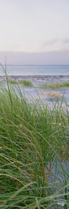 Photo Sur la Dune par Philip Plisson