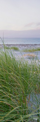 Photo Sur la Dune par Philip Plisson