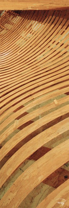 Photo L'Hermione, construction d'une frégate par Philip Plisson