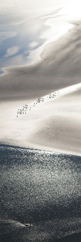 Photo Promenade en baie du Mont-Saint-Michel, Normandie par Philip Plisson