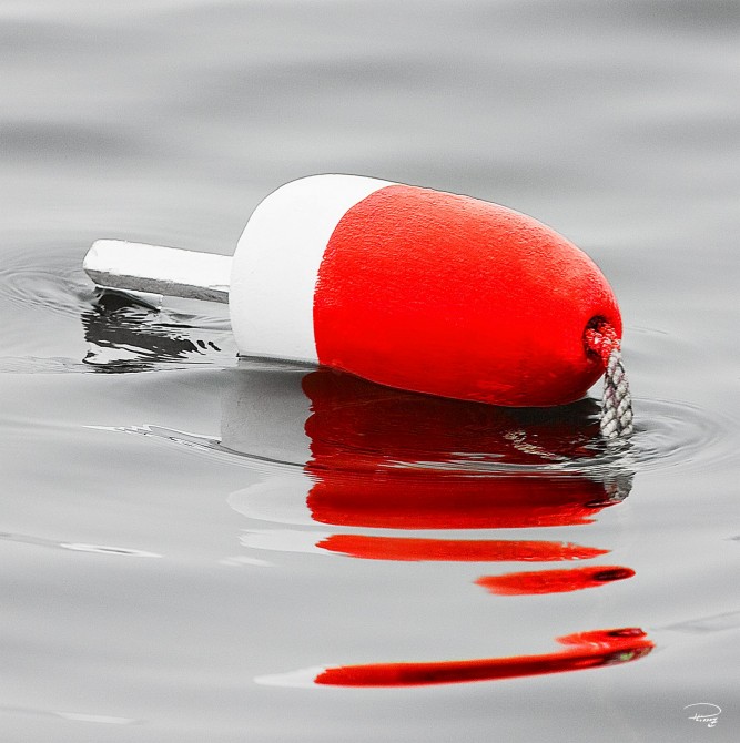 Photo Bouée de casier à homards rouge et blanche  par Philip Plisson