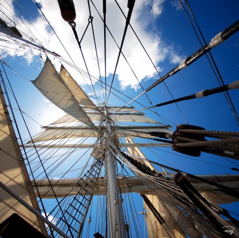 Photo A bord du trois-mâts barque Belem par Philip Plisson
