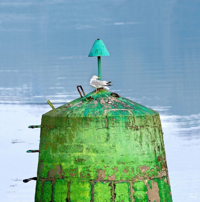 Photo Tourelle de chenal tribord par Philip Plisson