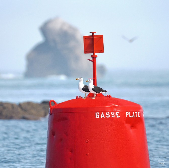 Photo Tourelle de chenal babord par Philip Plisson