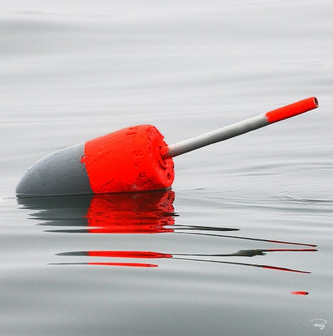 Photo Grey and red lobster trap buoy par Philip Plisson
