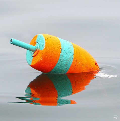 Photo Bouée de casier à homards verte et orange par Philip Plisson