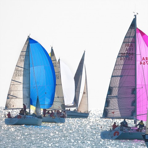 Photo Régate sous spi bleu et rose par Philip Plisson