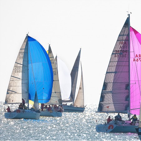 Régate sous spi bleu et rose