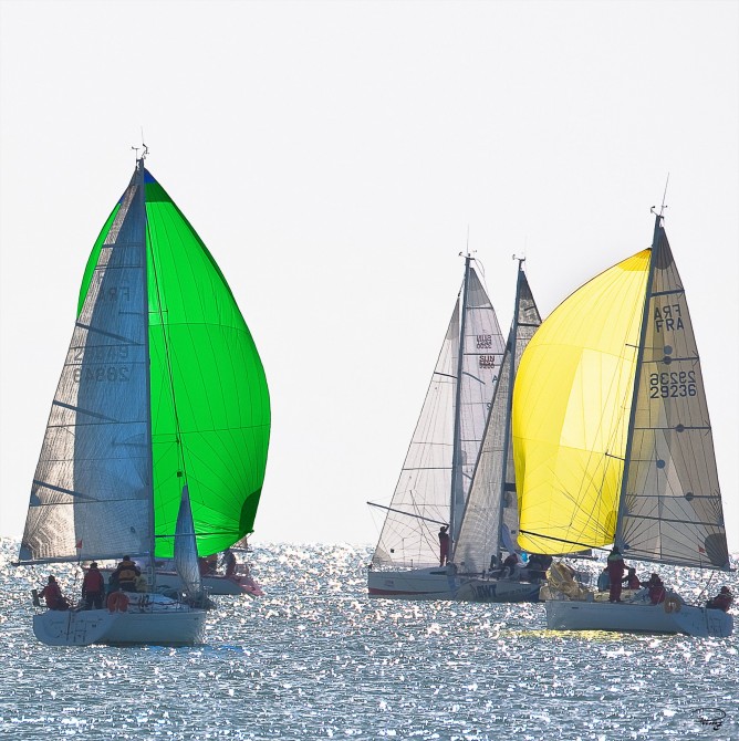Photo Régate sous spi vert et jaune par Philip Plisson