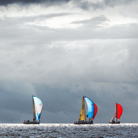 Photo Voiliers sous spi  par Philip Plisson